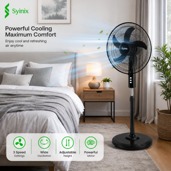 Fan