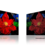 TCL QLED TV