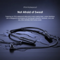 Neckband