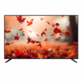 Nasco Flat TV