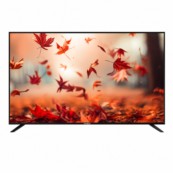 Nasco Flat TV Nasco Flat TV